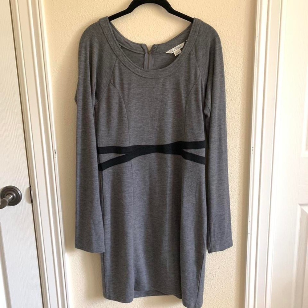 Soft Gray Dress with Black Waist Lines